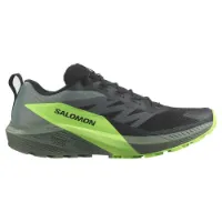 Salomon Sense Ride 5 Shoes SS25