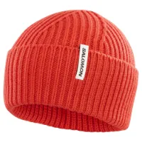 Salomon Snowbird Beanie