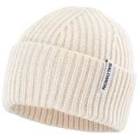 Salomon Snowbird Beanie