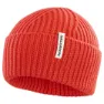 Salomon Snowbird Beanie