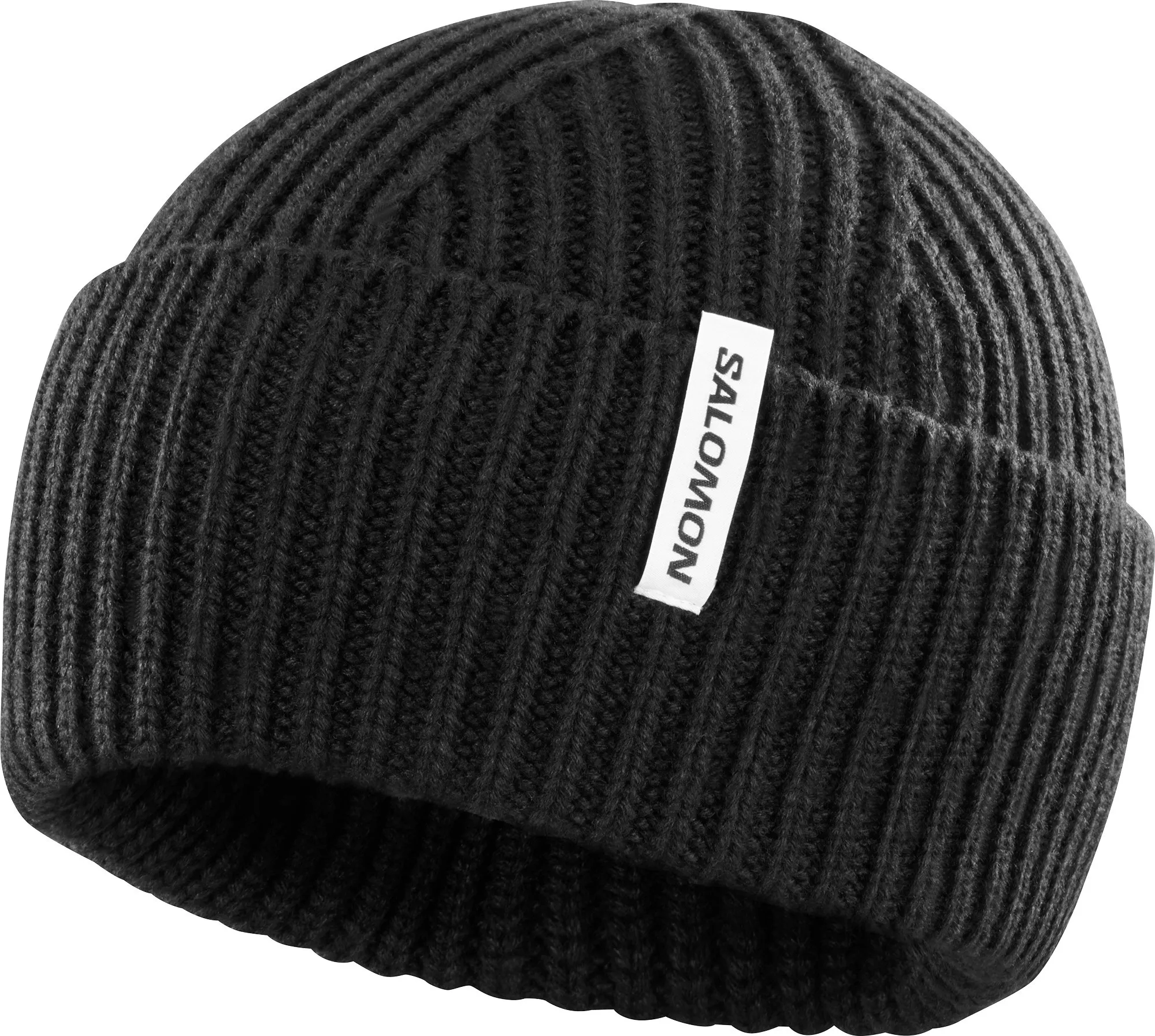 Salomon Snowbird Beanie