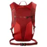 Salomon Trailblazer 10