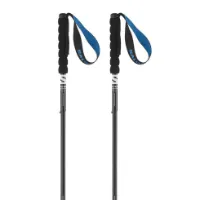 Salomon Ultra Alu Foldable Stavar