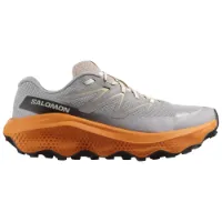 Salomon Ultra Flow 2 Goretex Trailskor male
