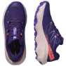 Salomon Ultra Flow 2 Goretex Trailskor male