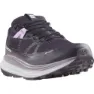 Salomon Ultra Glide 2 Goretex Trailskor male