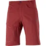 Salomon Wayfarer Shorts