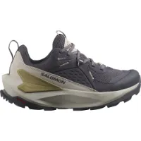 Salomon Women's Elixir GORE-TEX
