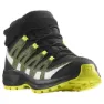 Salomon Xa Pro V8 Mid Cs Wp Vandringskängor