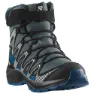 Salomon Xa Pro V8 Winter Wp Vandringskängor
