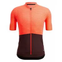 Santini Colore Riga Korta ärmar Cykeltröja Santini Colore Riga Korta ärmar Cykeltröja