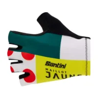 Santini Gloves Santini Gloves