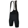 Santini Plush Bib Shorts