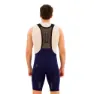 Santini Plush Bib Shorts