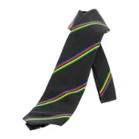 Santini Uci Slips