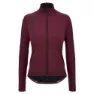 Burgundy 1