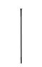 Sapim D-Light Straightpull Svart Eker, 302mm