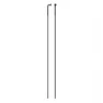 Sapim Race Inox 14G J-Bend Svart Eker