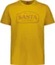 Sasta Men's Coordinate T-Shirt