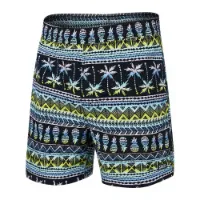 Saxx Underwear Go Coastal Simshorts male