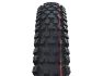 Schwalbe Albert Trail Pro 29" Däck