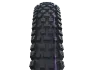Schwalbe Albert Trail Pro 29" Däck