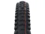 Schwalbe Big Betty Addix Soft 20" Däck