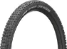 Schwalbe Wicked Will Addix Däck
