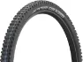 Schwalbe Wicked Will Evolution Däck