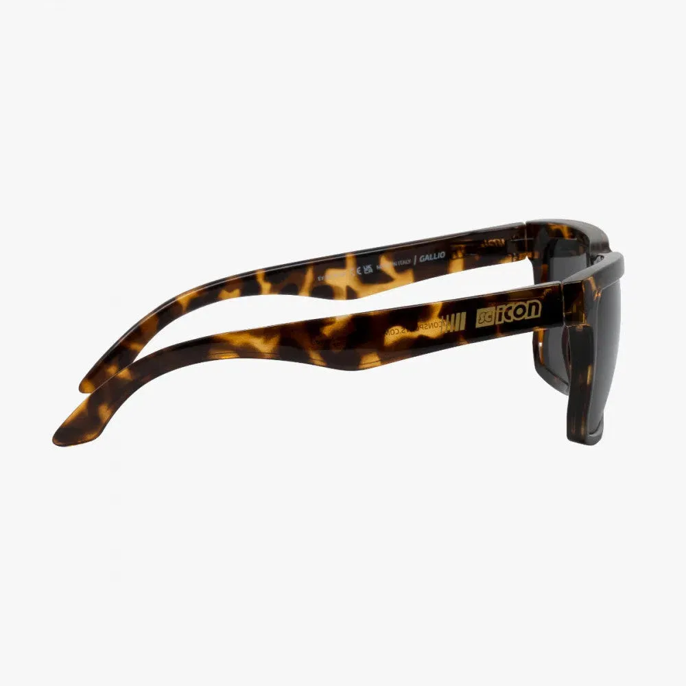 Scicon Gallio Eyewear