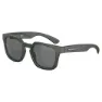 Matt black / smoked black