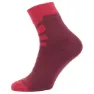Sealskinz Super Thin Strumpor, Red