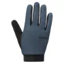 Blue gray / blue gray