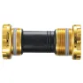 Black / gold