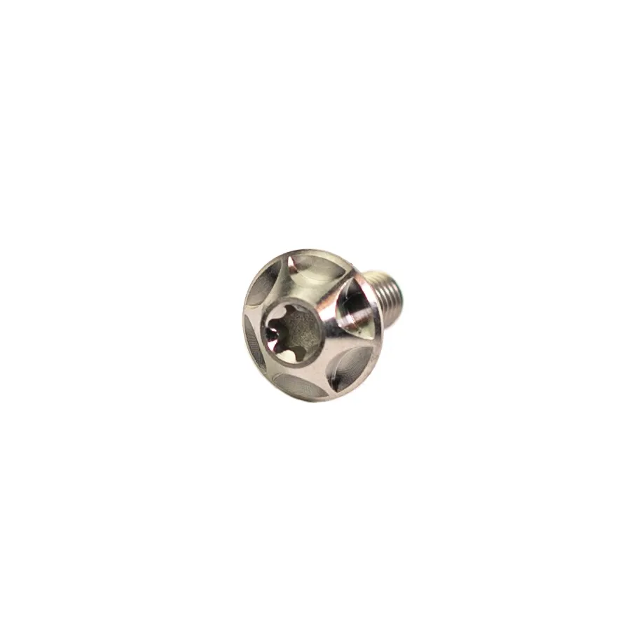SILCA Titanium Screws