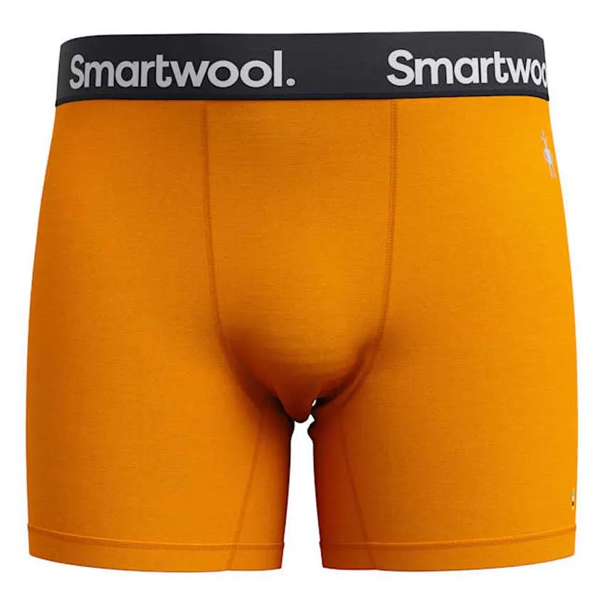 SmartWool Active Boxed Boxers