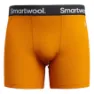 SmartWool Active Boxed Boxers