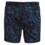 SmartWool Active Lined 5´´ Shorts