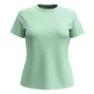 SmartWool Active Mesh T-shirt Med Korta ärmar