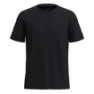 SmartWool Active T-shirt Med Korta ärmar