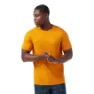 SmartWool Active T-shirt Med Korta ärmar