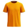 SmartWool Active T-shirt Med Korta ärmar