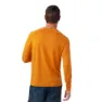 SmartWool Active Ultralite T-shirt Med Lång ärm