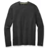 SmartWool Classic All-season Merino T-shirt Med Lång ärm
