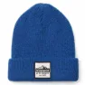 SmartWool Logo Mössa, Blueberry hill