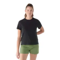 SmartWool Men's Perfect Crew Tee