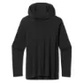 SmartWool Merino Sport 120 Hoodie T-shirt Med Lång ärm