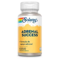 Solaray Adrenal Succes Kapslar 60 Enheter Solaray Adrenal Succes Kapslar 60 Enheter