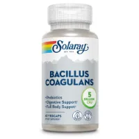 Solaray Bacillus Coagulans Enzymes And Digestive Aids Kapslar 60 Enheter Solaray Bacillus Coagulans Enzymes And Digestive Aids Kapslar 60 Enheter