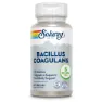 Solaray Bacillus Coagulans Enzymes And Digestive Aids Kapslar 60 Enheter, One size